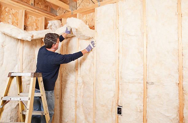 Best Attic Insulation Installation in Olivehurst, CA